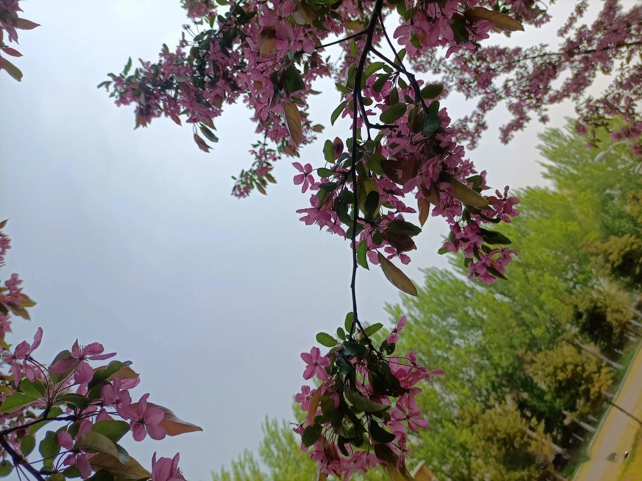 
有人说婆媳关系真是太难处了，我想说其实要想处好也不难，就看你的心理预期是什么样