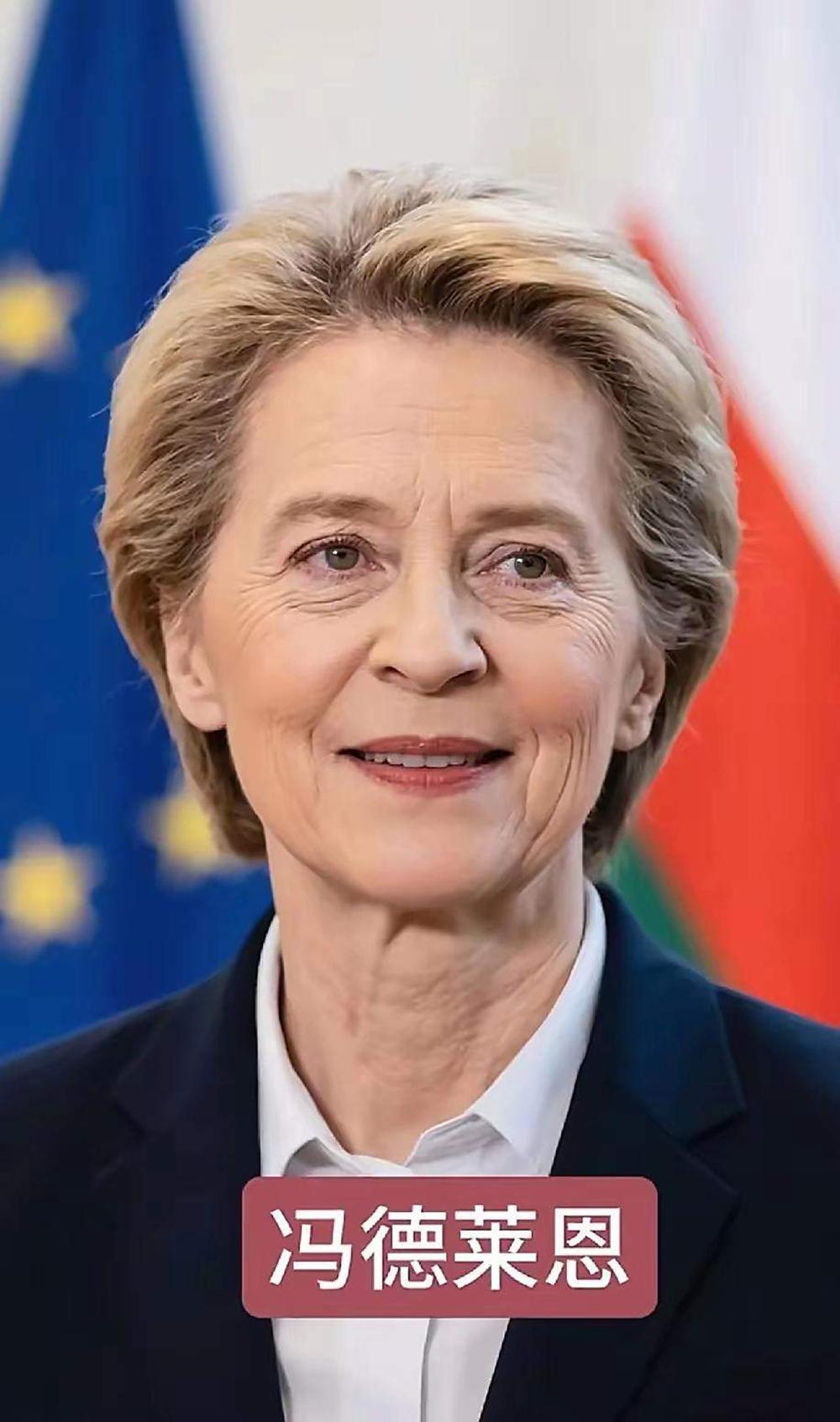 【欧盟委员会主席冯德莱恩表示，欧盟将大规模增加对格陵兰岛的投资是什么意思】
  