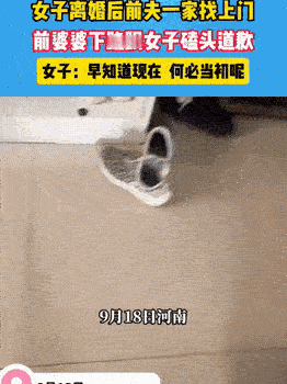 没想到啊！

一女子离婚后前夫一家却找上门来，

前婆婆居然跪下给女子道歉磕头。
