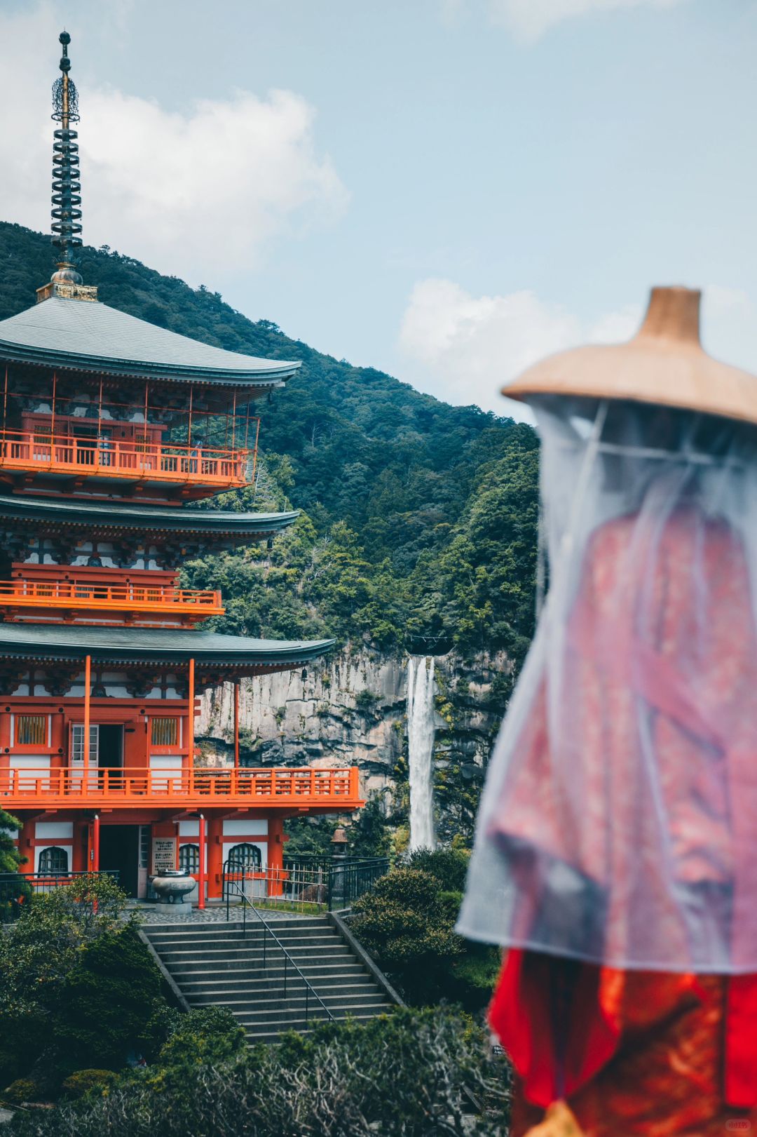 为了这组照片，我特地去日本🇯🇵爬了2小时山