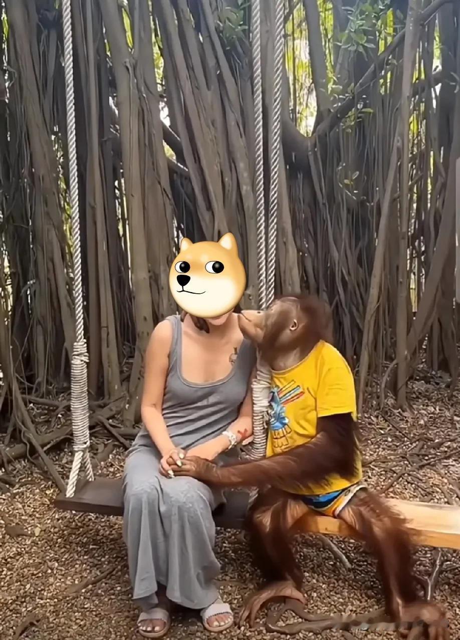 说真的你们可能不信，我其实还不如这只猴子聪明呢，它啥都会干。哥们，你那儿还缺员工
