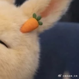 阳光信用  ❤阳光信用💜 【hu动指路 不吞必hui 不带🔗 勿带hui字，