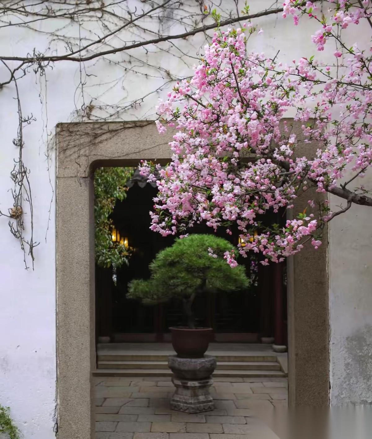 全世界的穷人都把碳水当主食，全世界的有钱人都把蛋白质当主食，这就像牛羊吃草，虎狼