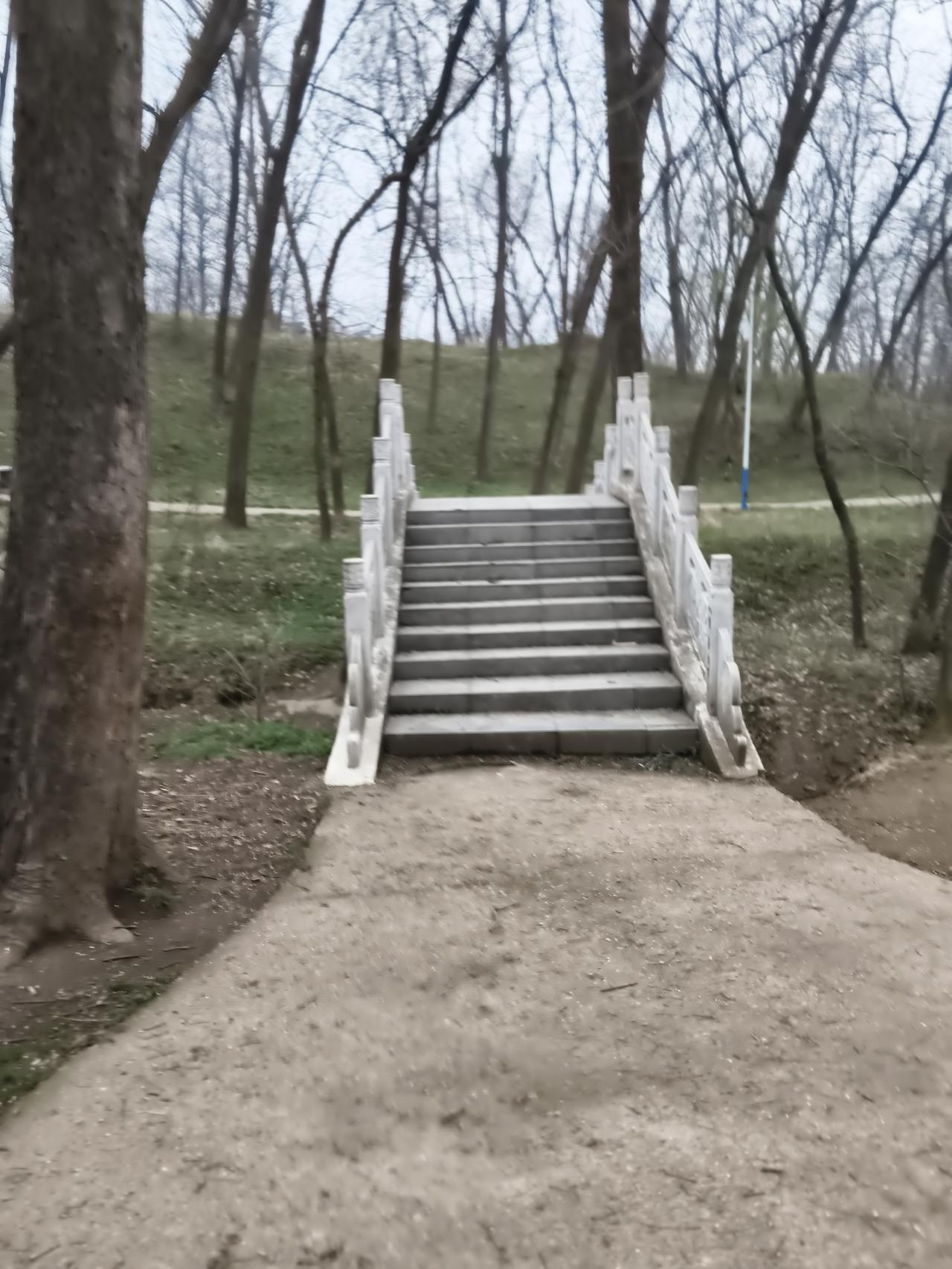 桥的尽头连着一条蜿蜒的小径，隐没在远处的草坡与树林间。四周的树木褪去了浓绿，枝桠