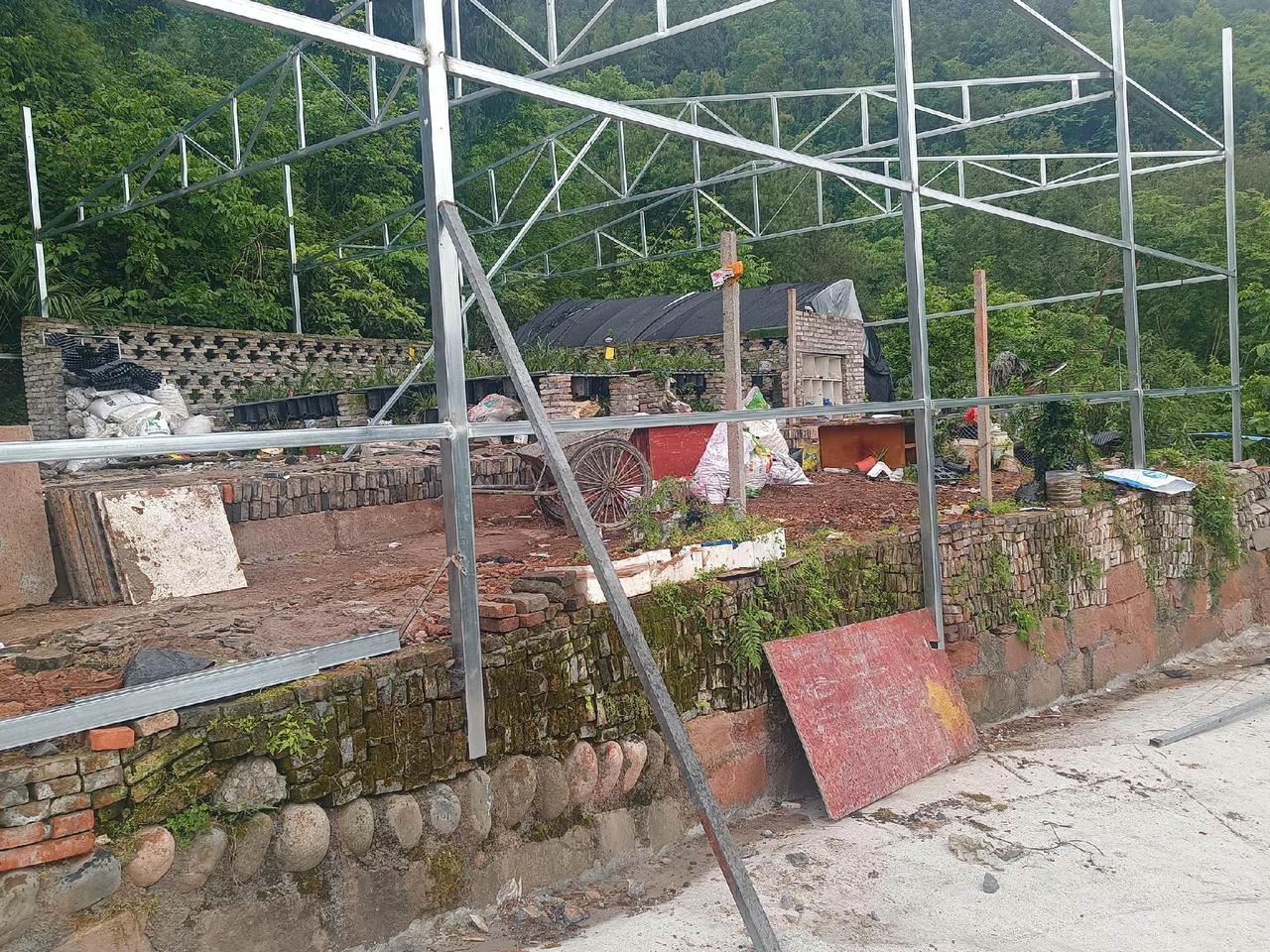改造兰棚正在进行中，大量收购兰草，普草不要，抖音助农