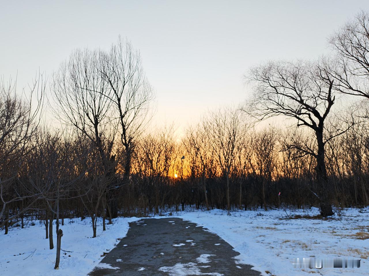给友们出个题目，根据以下一组照片分析猜猜是日出还是日落