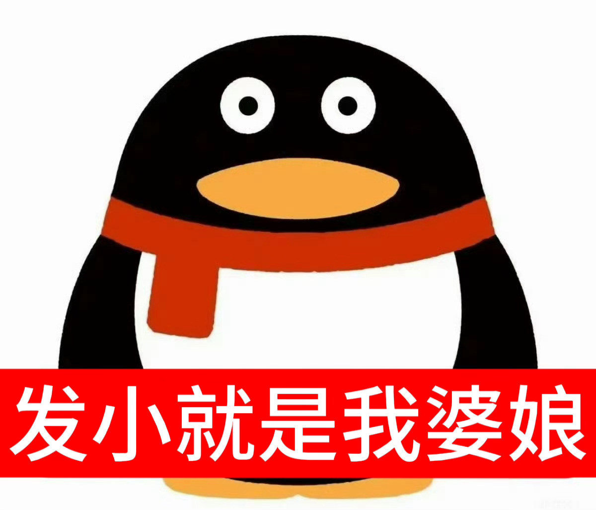 指南麦麸太用力刻意好尴尬海肠捞饭送你了，看了一堆图也没的记住左右位长相，能做到每