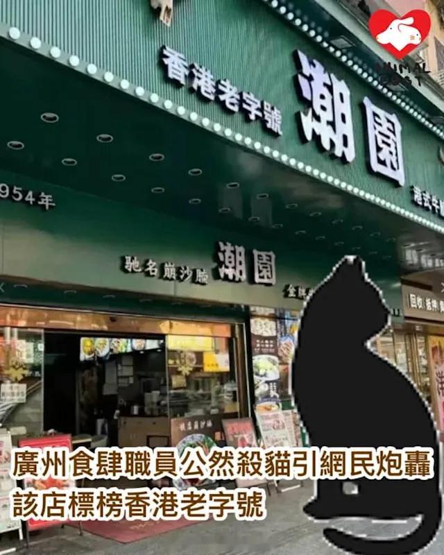 内地执法内地法治要爱护动物  「广州 食肆店員公然殺貓引網民炮轟！該店以香港老字
