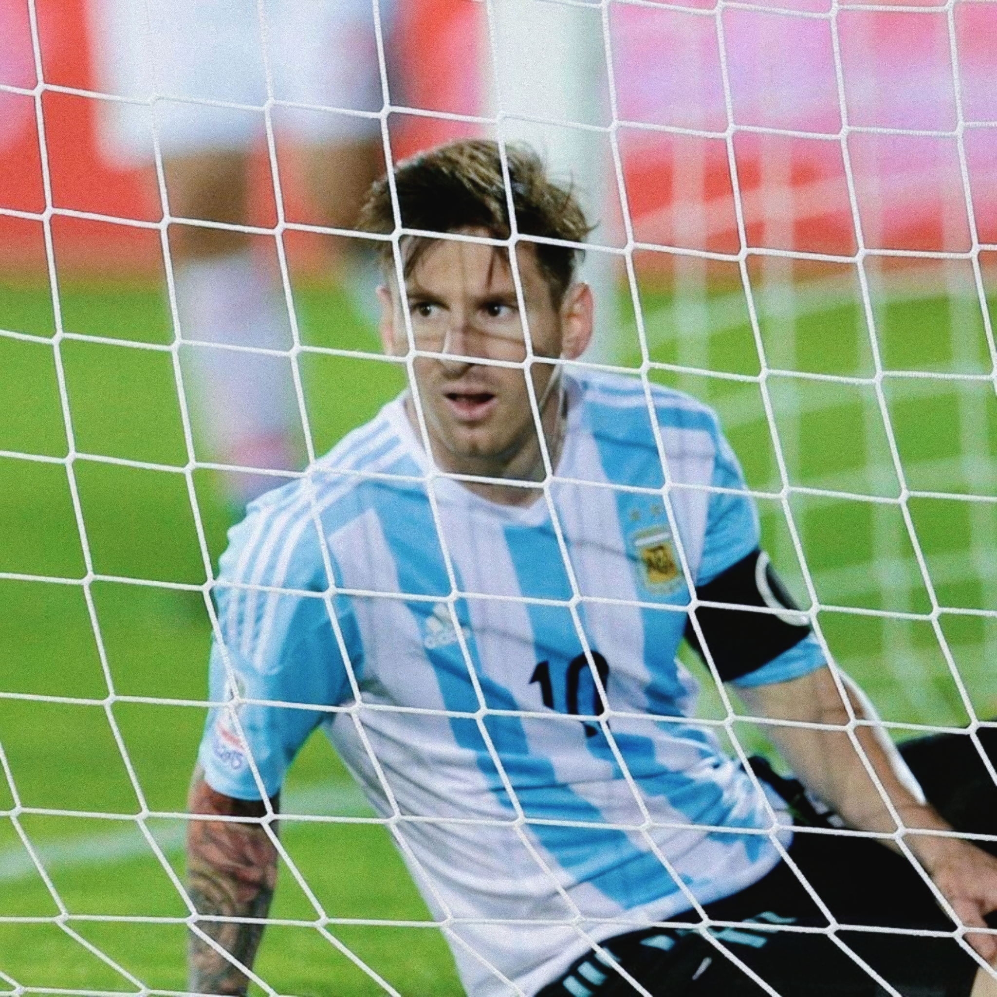 美度爱用头像榜前🔟 