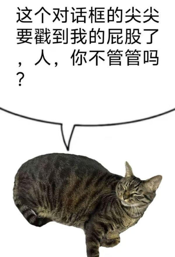 14359只狸大皮鼓 