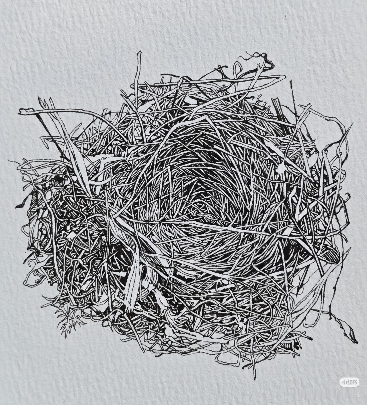 尤其是那些事业有成女性，其社会地位以及经济条件已超出了很多男性，个性独立自尊，其