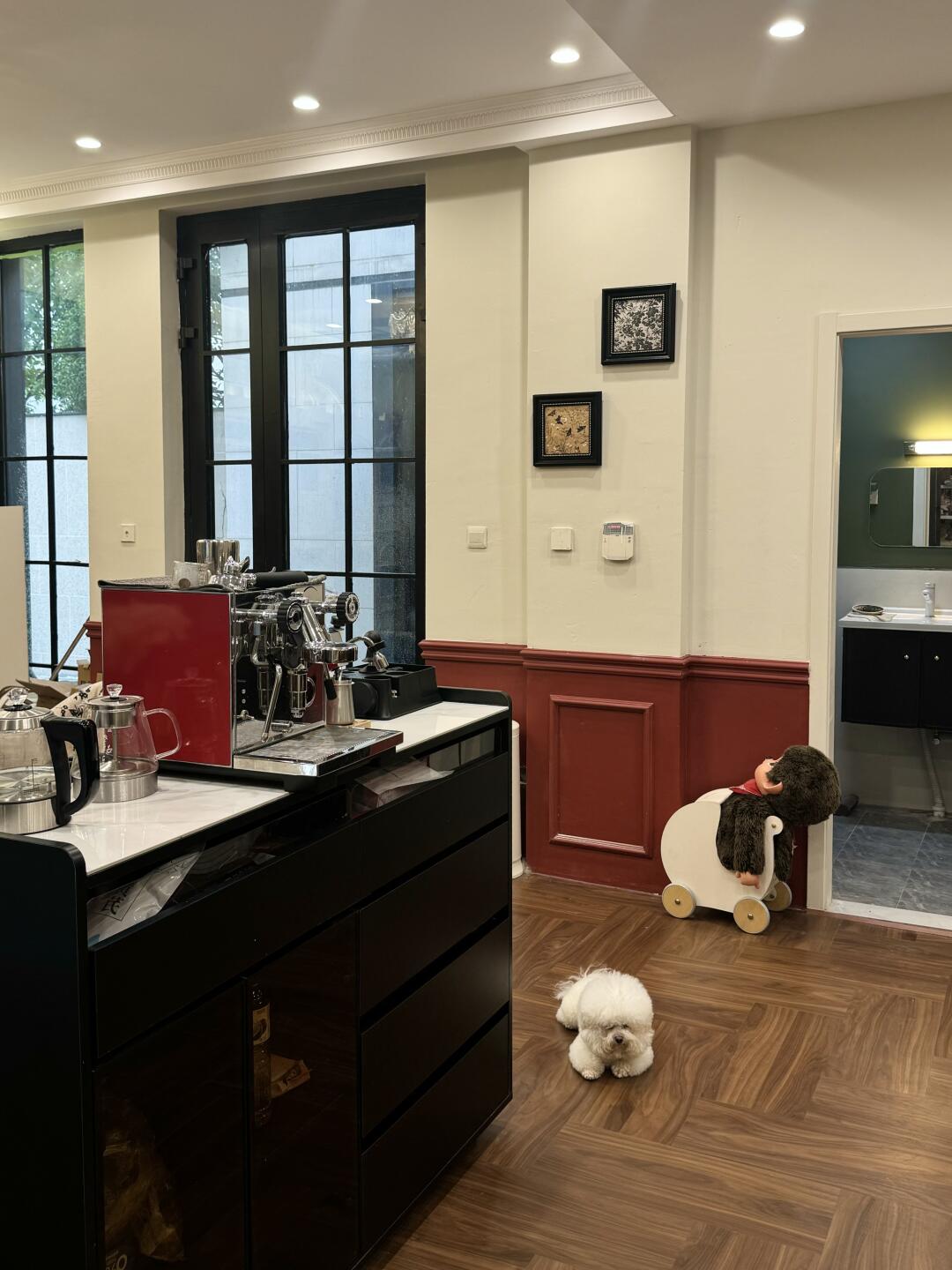 没有滤镜没有BGM的猫舍