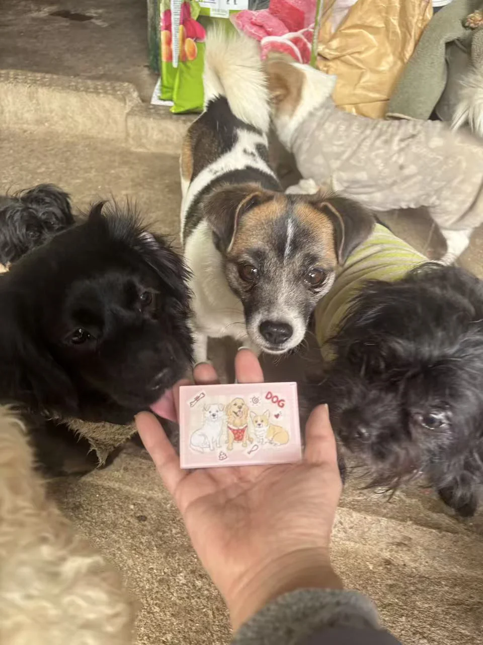 人，可以看看我们的小狗冰箱贴吗