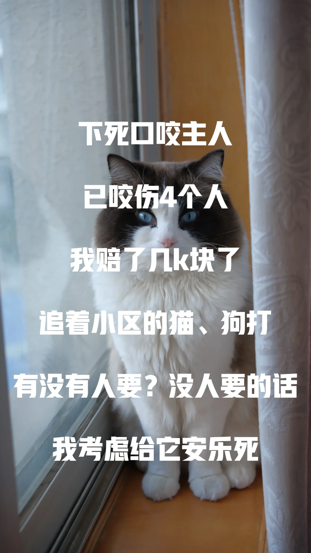 昆明，有没有菩萨