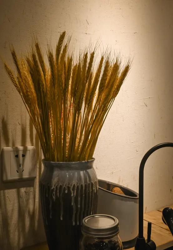 存了个“寂寞会员”，钱没了，老板跑了，我认了

姐妹们，今天说个糟心事儿，你们当