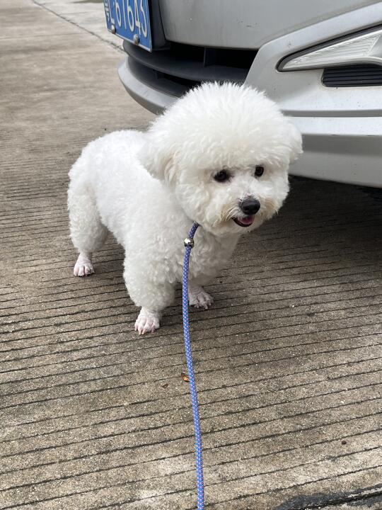 又定住了，只要不是她想走的方向就定住[生气R]
