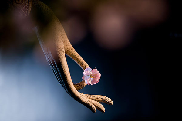 灵，智，慧，行。灵，是人生的感性工具，连接道与万物，爱与深情则灵；智，是人生的理