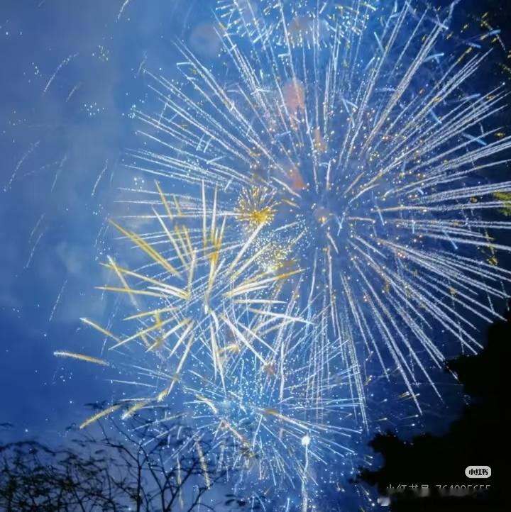 森林驿站[超话]阳光‬‬信用‬‍每日‬一善 漫漫人生路，我们会遇到许多人、经历许
