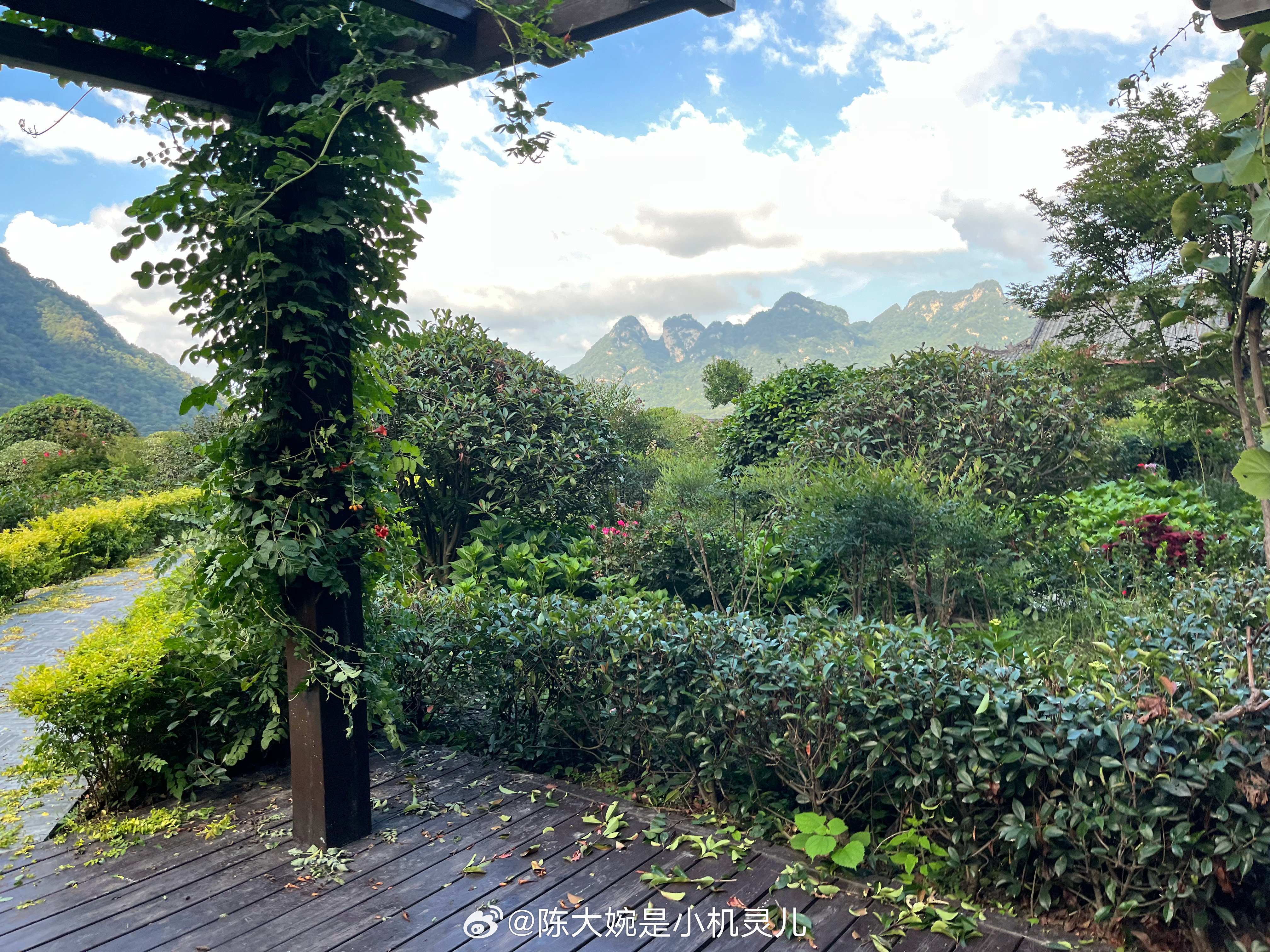今天的天气很好风景