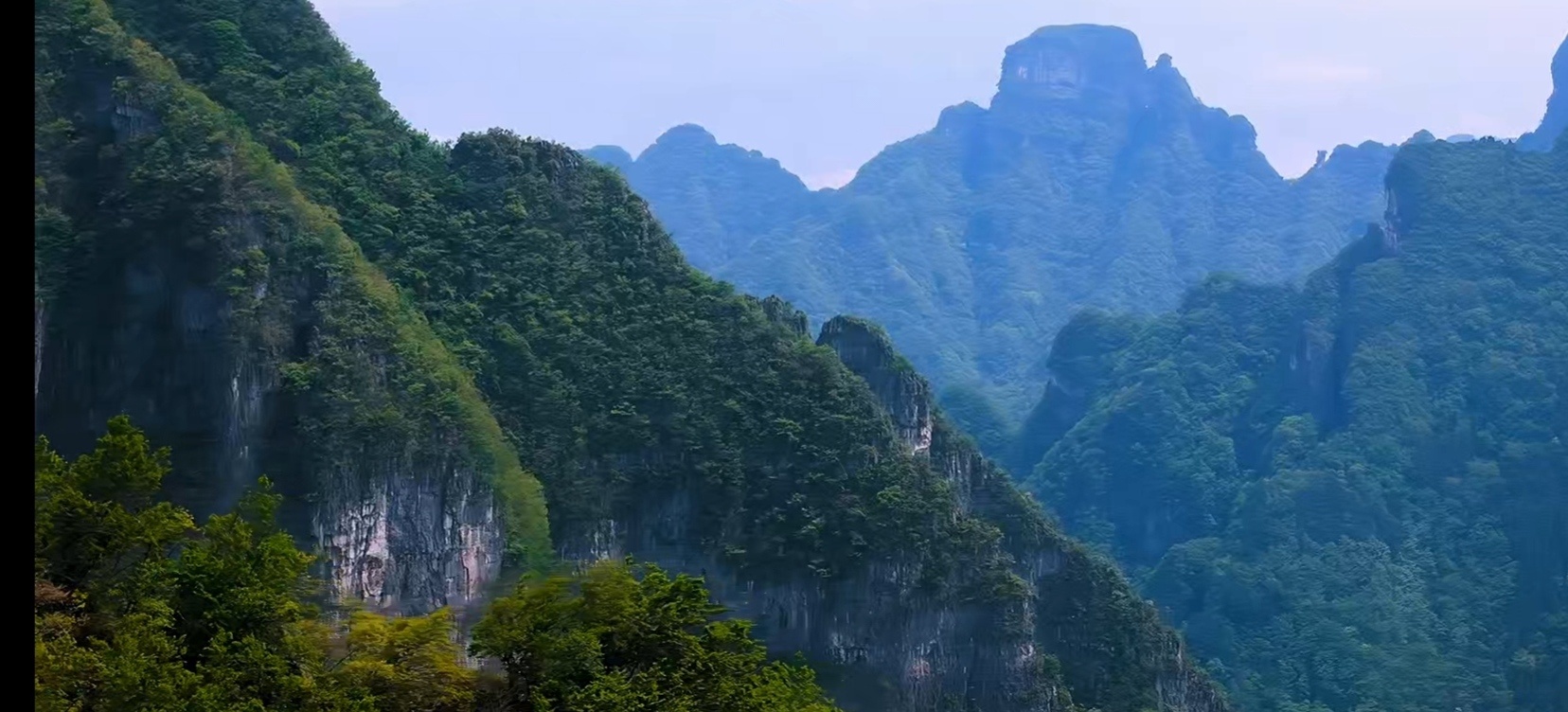 “障碍与失败，是通往成功最稳靠的踏脚石。就像这山间的树木，无论风雨如何，始终向上