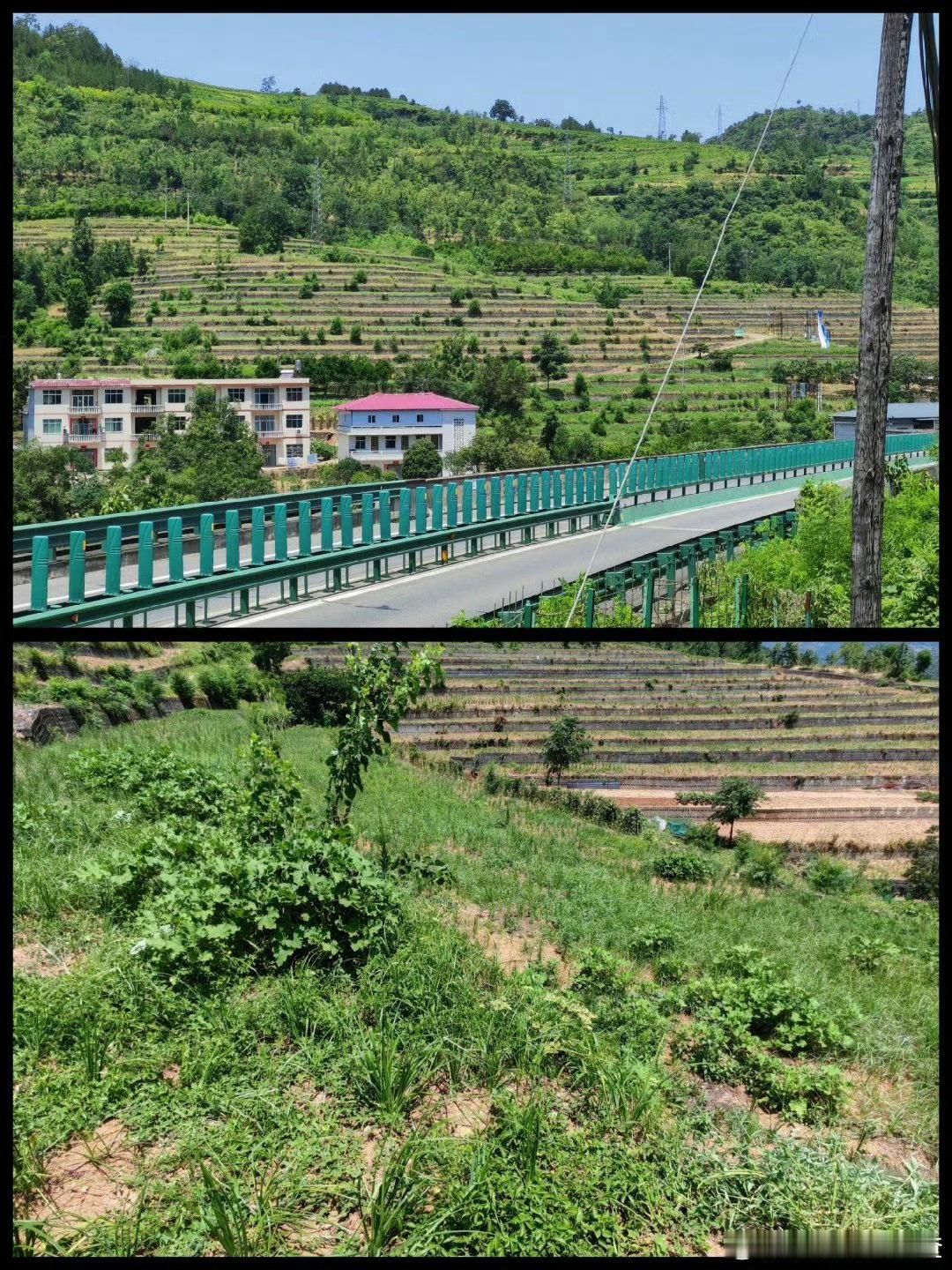 旬阳吕河高标准农田配套设施残缺村民质疑施工缩水地块陷入撂荒高标准农田建设是夯实粮