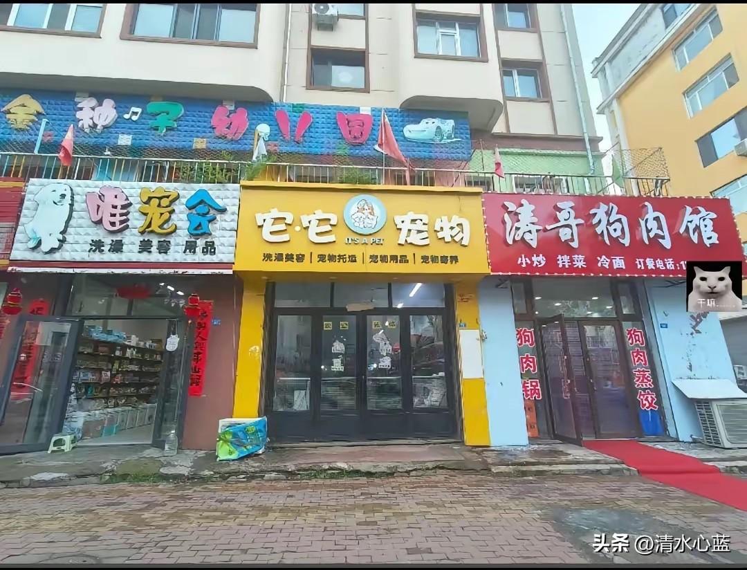 这家狗肉店的老板可真是个人才！明知道旁边就有两家宠物店，可偏偏还要把自己的狗肉店