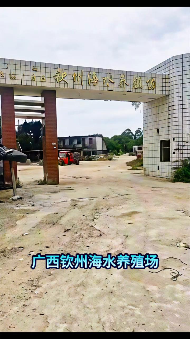 平路运河边上钦州海水养殖场。
广西钦州海水养殖场位于沙井岛毛威海西岸平路运河出海