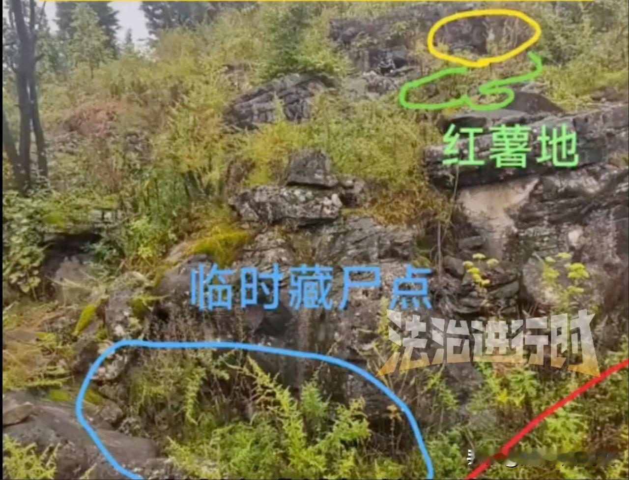 道爷显威帮助破案的办法太牛了，一句话就直接让犯罪嫌疑人全撂了！贵州一49岁女子因