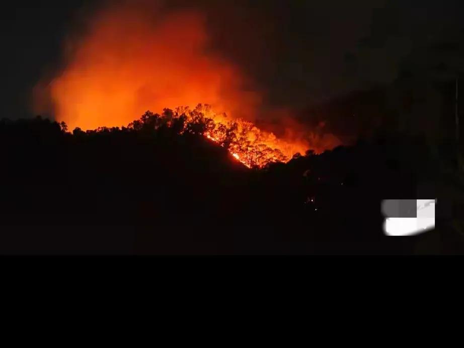 江门消防与各地力量：开平山火中的英勇奋战

亲爱的朋友们，大家好！最近，在开平市