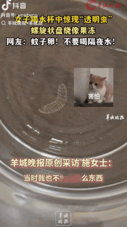 “这下长记性了吧！”7月9日报道，云南大理一女子喝隔夜水时，突然发现杯子底部有“