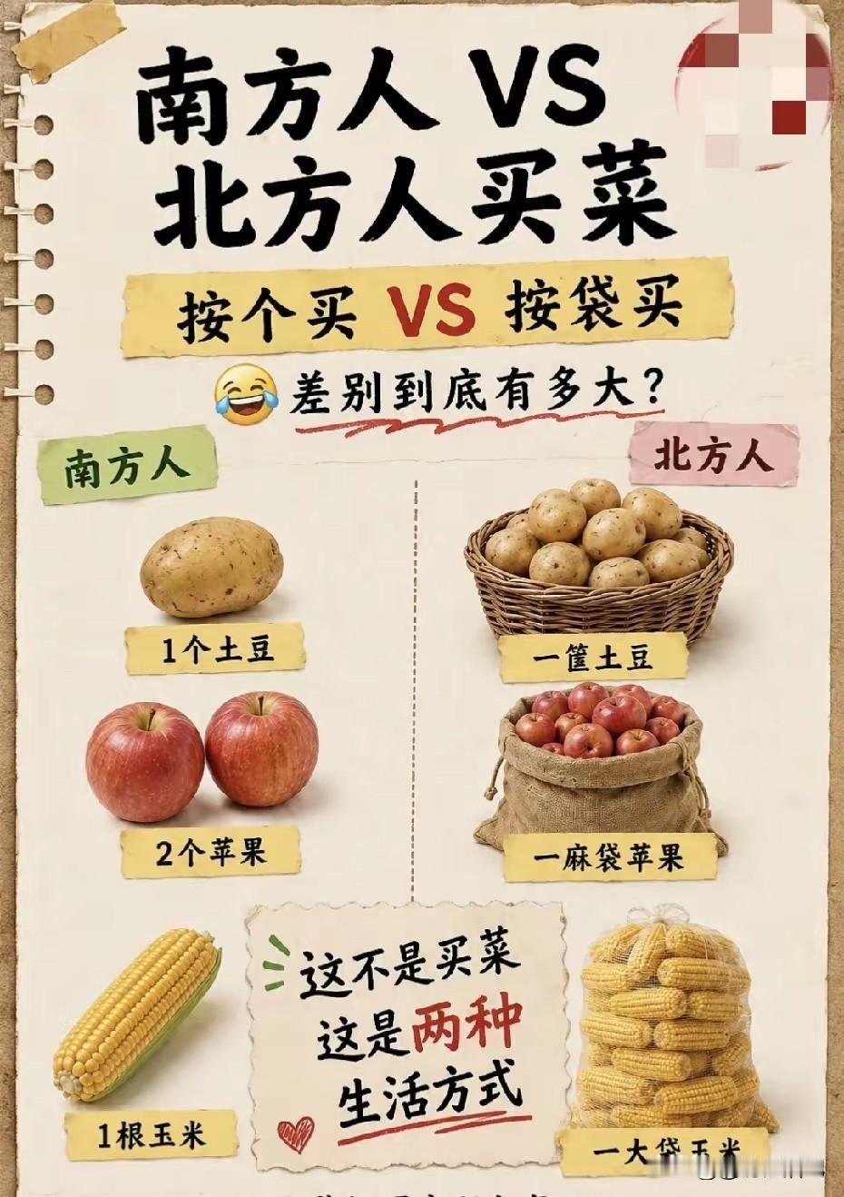 北方人就是豪爽啊，南方人不可能整袋买菜的。