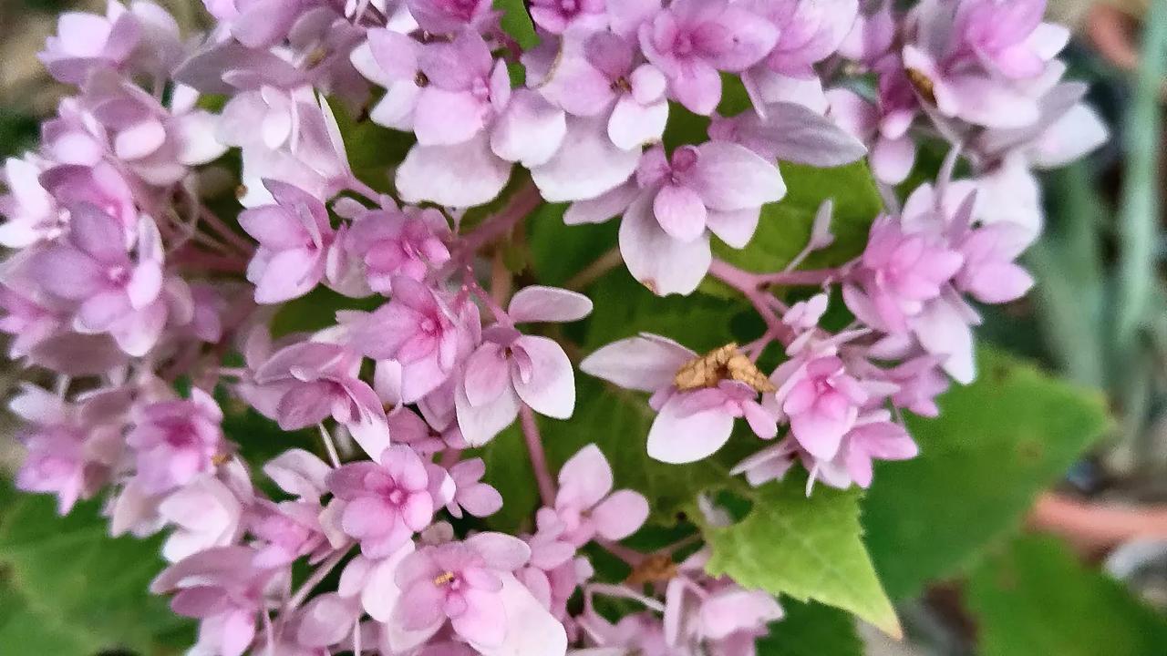 前两天，有同事说咱们单位又要裁人了，当时我还有些不信。毕竟我们的工作量从之前的一