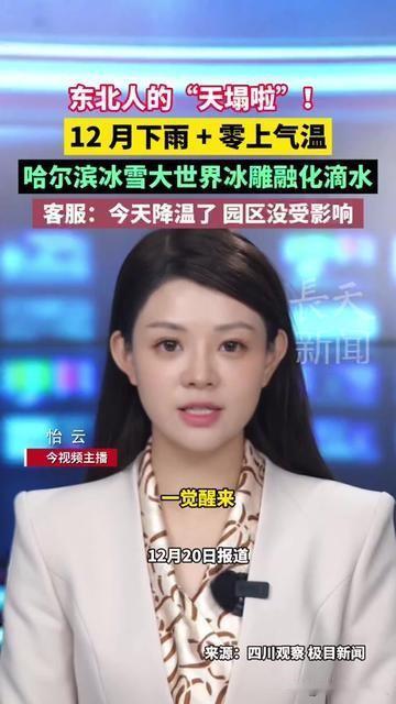 东北人今年的冬天，算彻底懵圈了！

往年今天哈尔滨的风，能把睫毛冻成冰棱子，