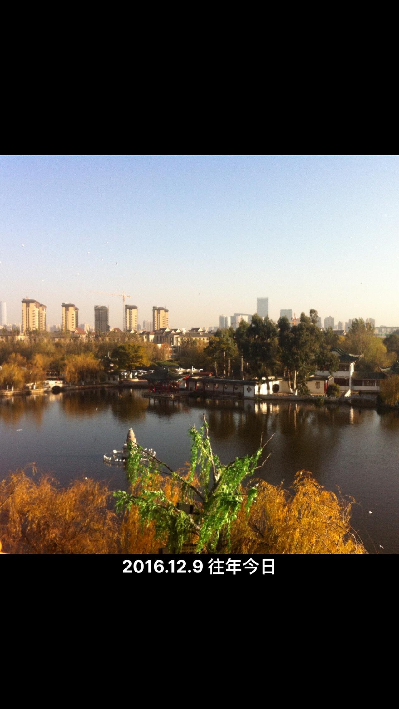 人与自然和谐共处  身边的风景无处不在 慢下来看世界 治愈系风景