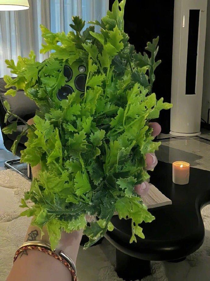 吃香菜和不喜欢吃香菜的姐妹都有福了 ​​​