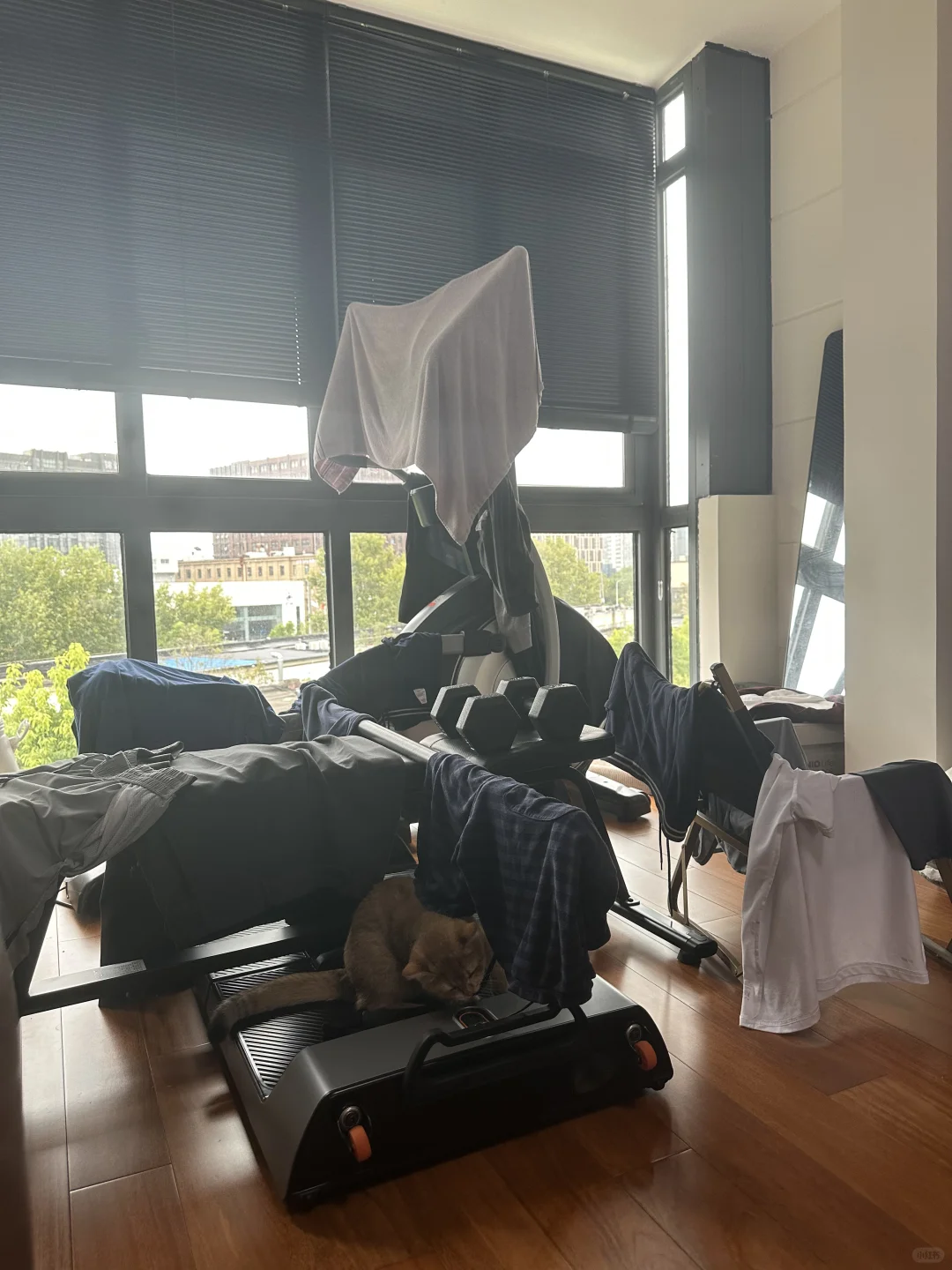 一定要买这些东西，浴巾衣服和小猫都很喜欢
