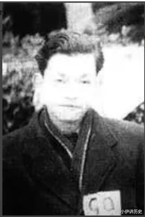 重庆街头荒诞一幕！特务当街揪叛徒，互撕怒骂看呆解放军
 
1949年重庆解放后，