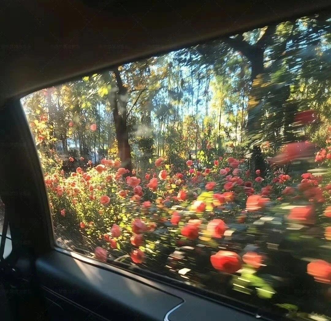 言情小说[超话]0503 四月未说完的话，我们留在五月慢慢说❤️ ​​​