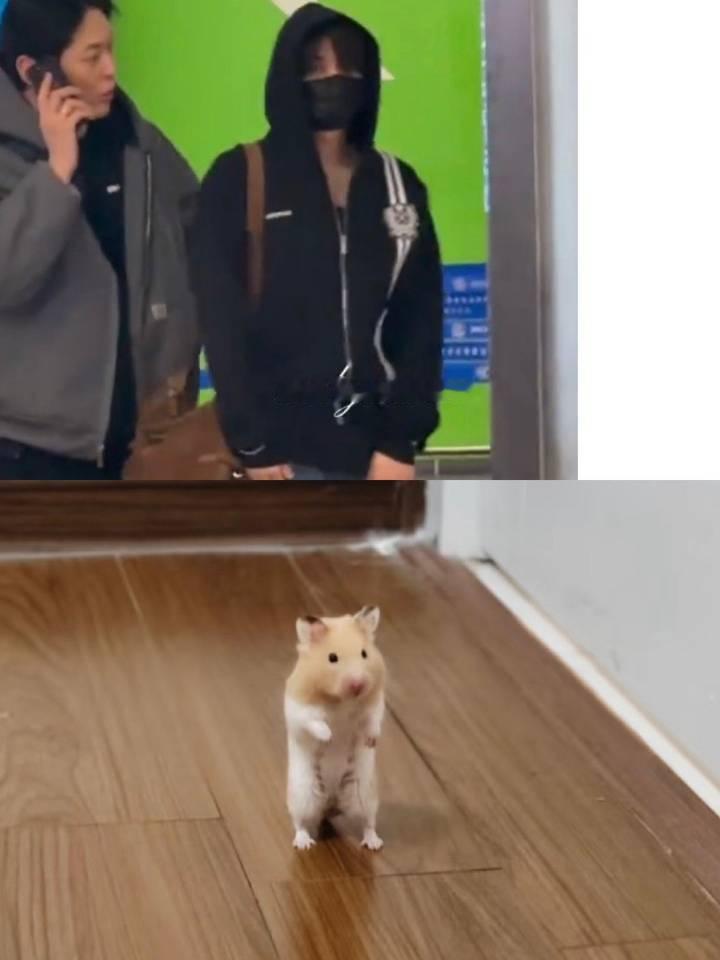 🐹 