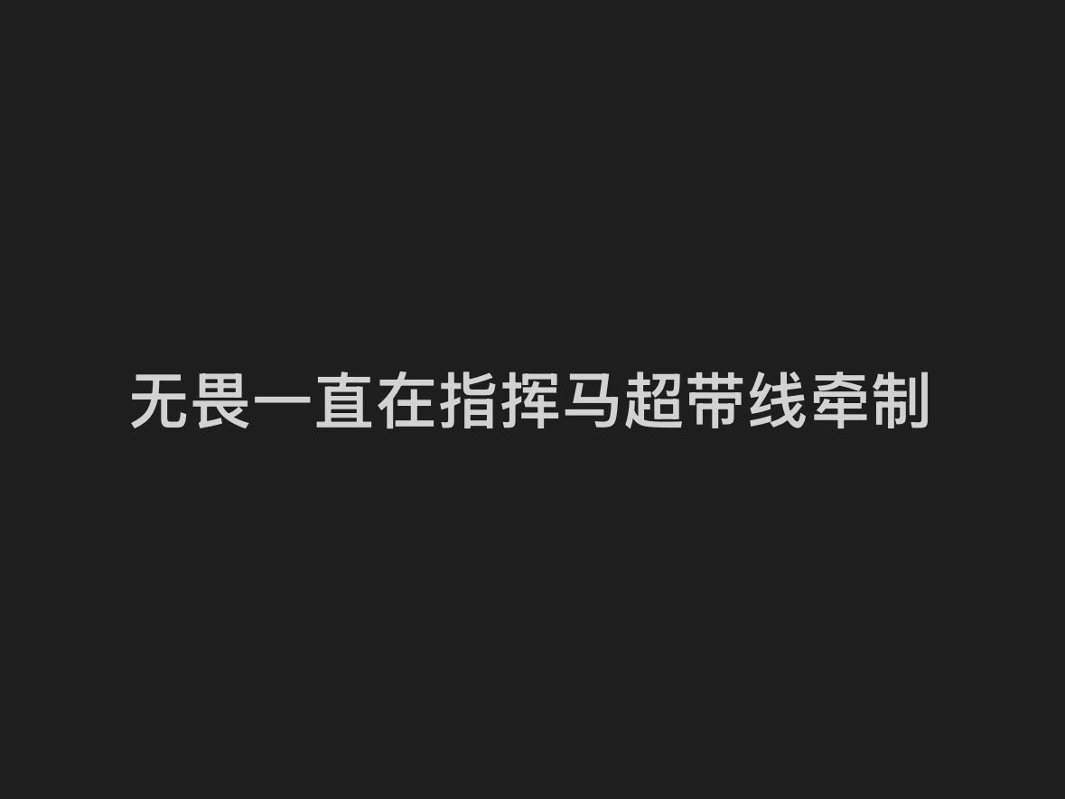 无畏是队伍里的大脑 是带领队伍胜出的关键 