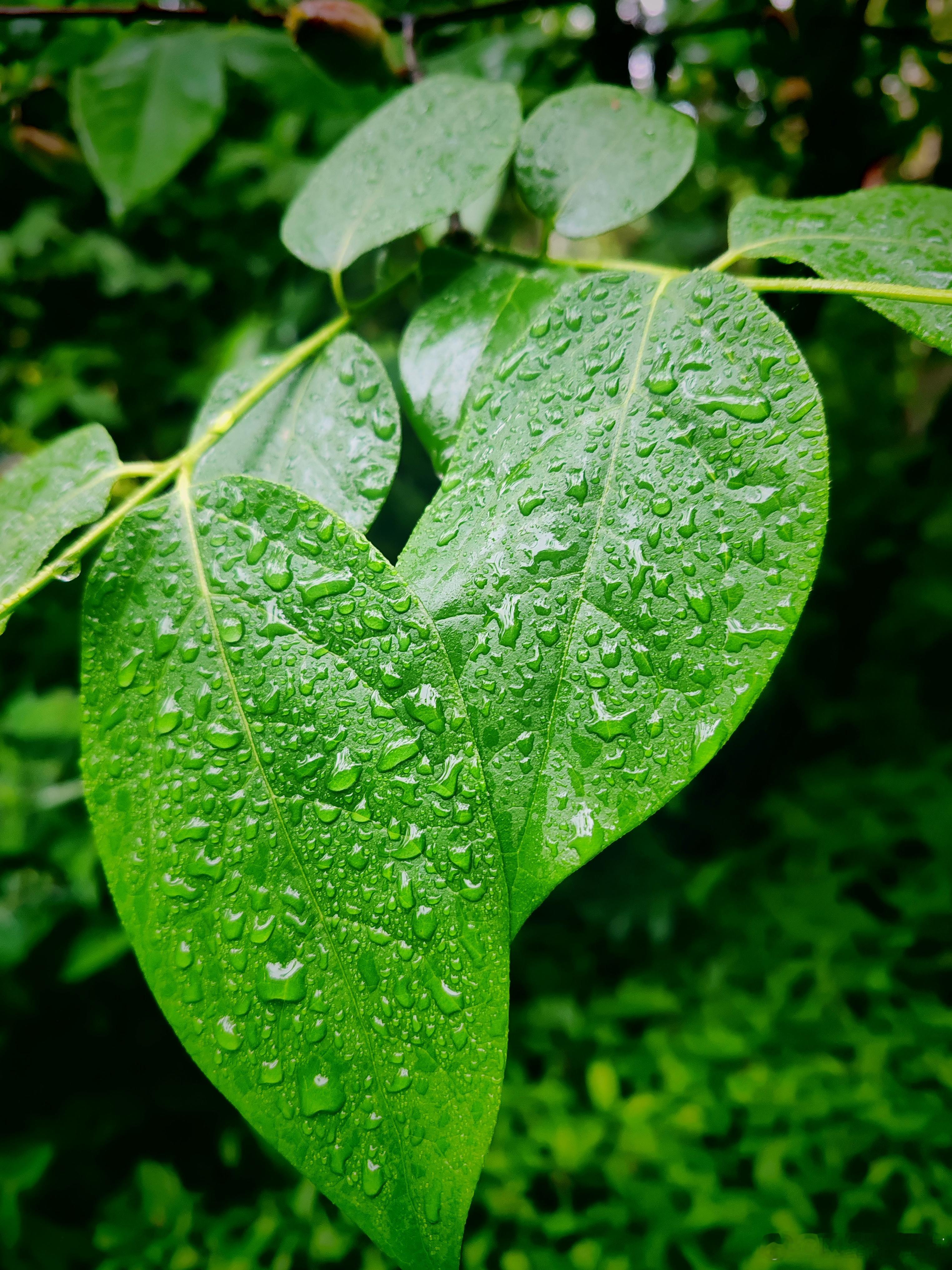 哲思呓语 ：你并不需要与所有人都走得很近，交浅言深是交往大忌，降低分享欲，克制表