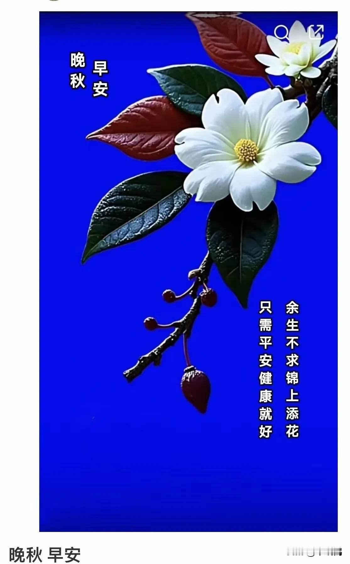 人与人的差距，表面上看是财富的差距，实际上是福报的差距； 表面上看是人脉的差距，