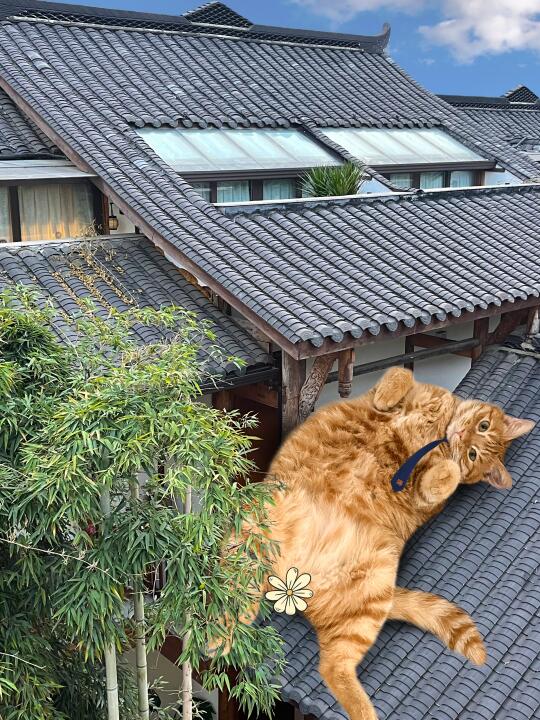 孩子上房揭瓦了怎么办…