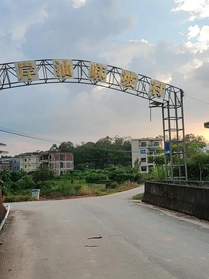 上周临时起意开车往近郊晃，没做攻略没找网红打卡点，拐进山脚下的村子停好车，顺着田