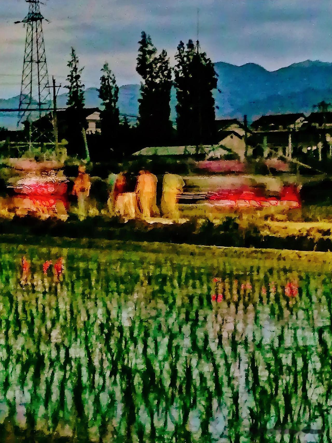 《秦岭南麓，田园夜景（李林摄于汉中城固）》