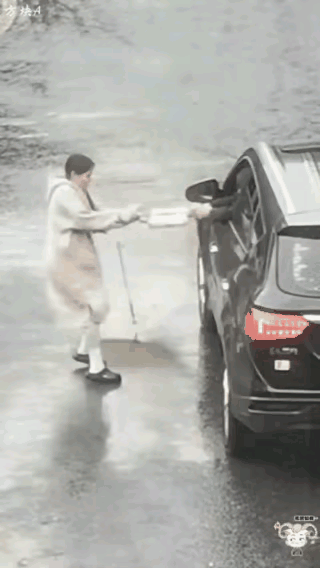 男子开车欲抢女人的包，女子急中生智，把包扔的远远的，待男子把包捡到手，女子已上了