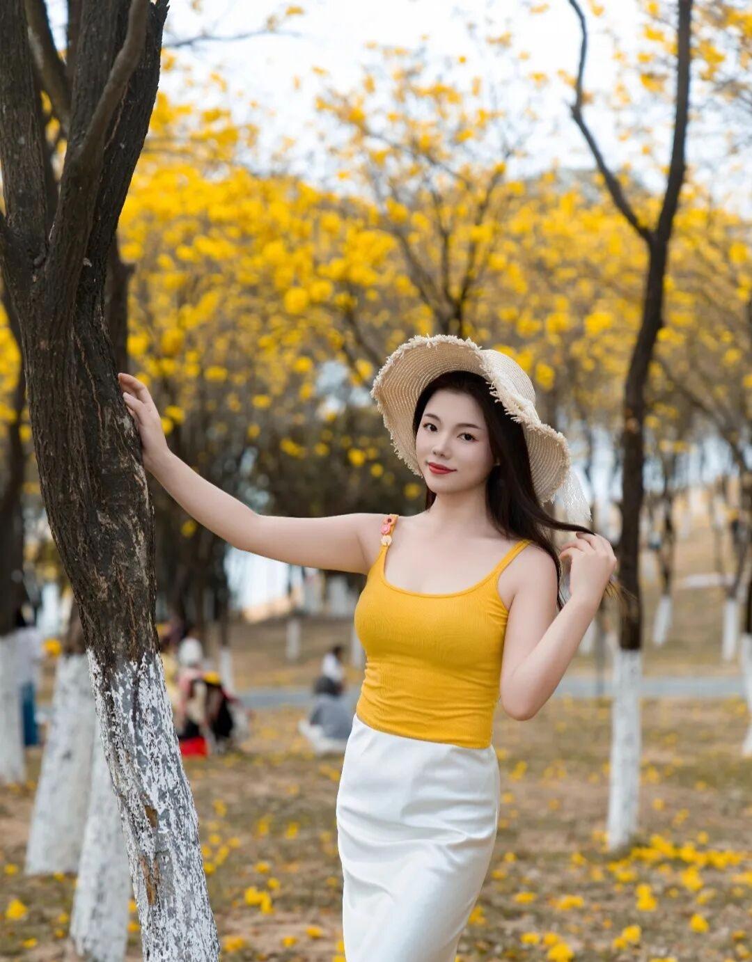 春日限定，黄风铃拍照姿势，明媚又温柔，轻松美出圈