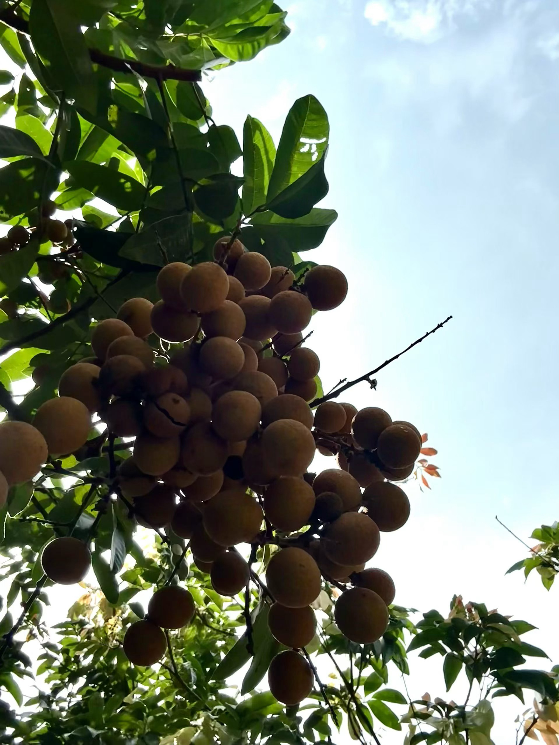 岁月极美，在于它必然的流逝。春花，秋月，夏日，冬雪，四季轮番更迭，转瞬便成过往。