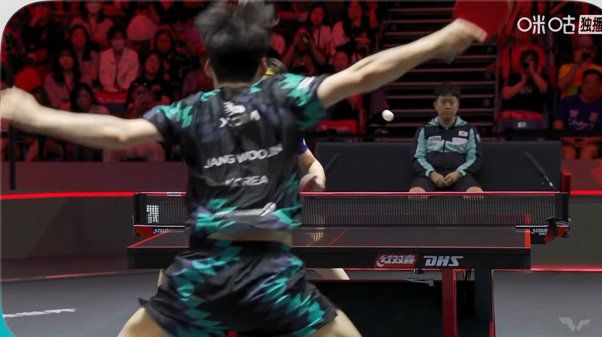 王楚钦2-0张禹珍 