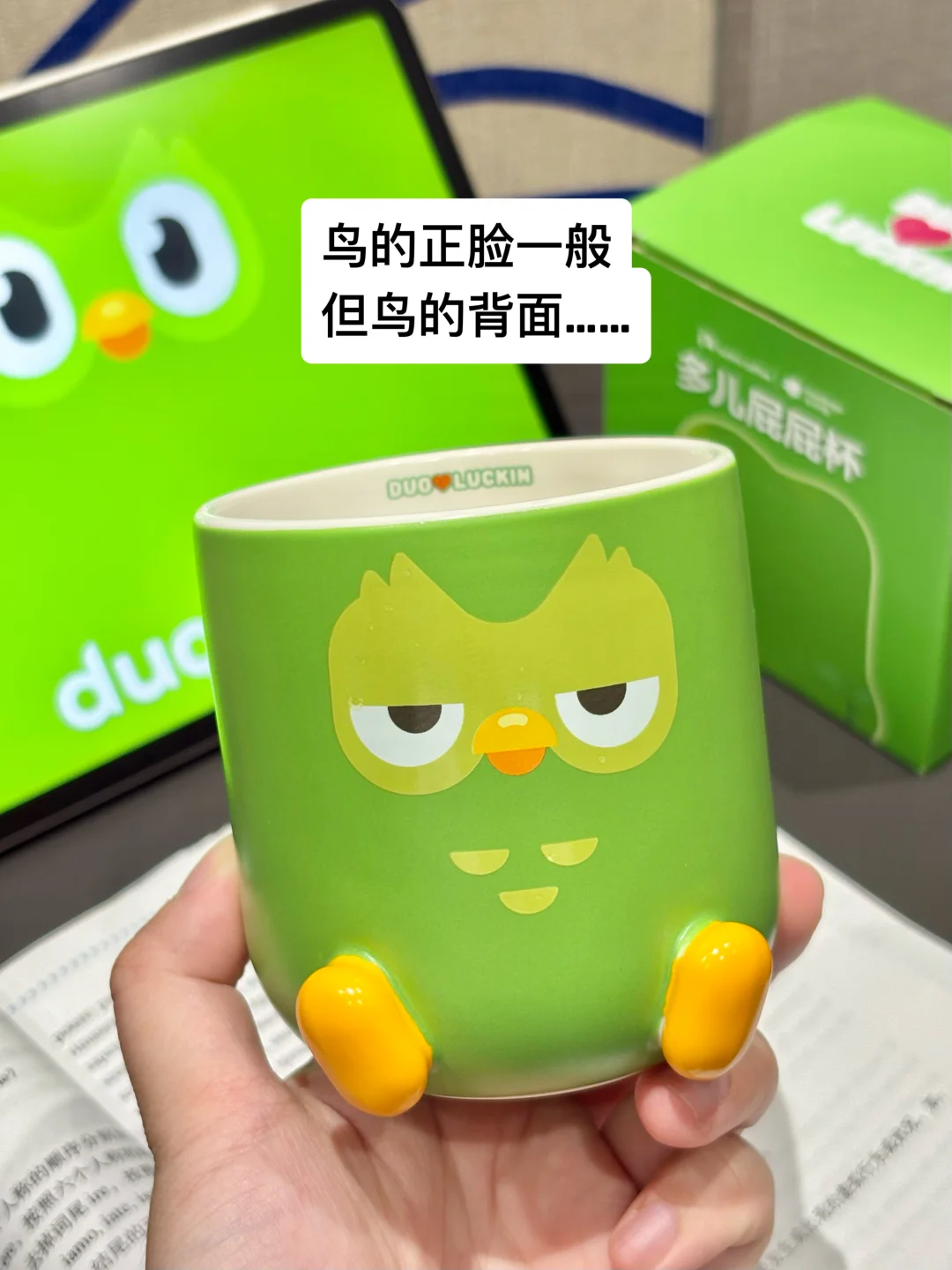 有的鸟正脸一般，但背面绝了。。
